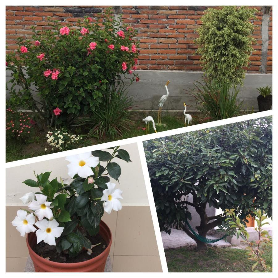 Tababela Airport B&B מראה חיצוני תמונה