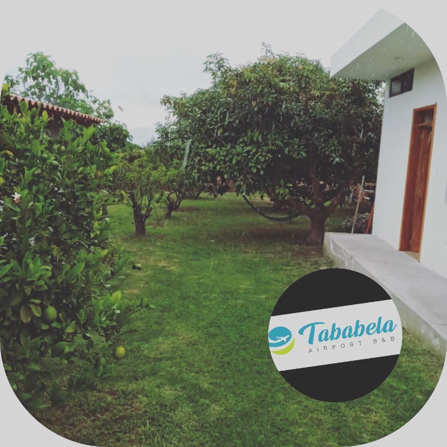 Tababela Airport B&B מראה חיצוני תמונה
